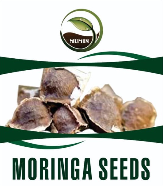 Moringa_seeds.jpg